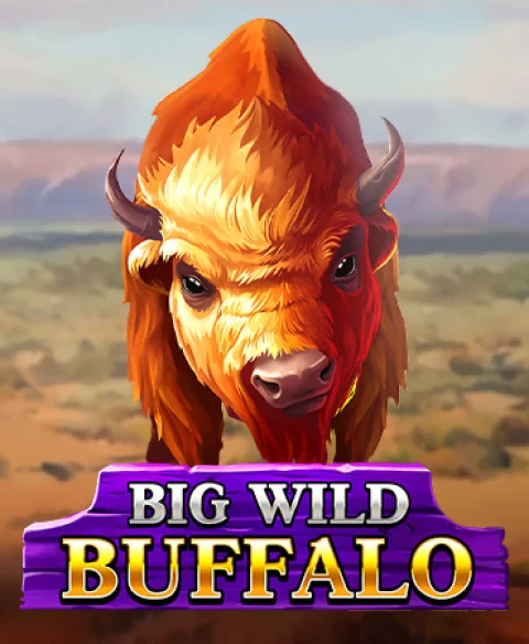 Play Big Wild Buffalo at Casilando Casino